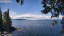 ./images/koeye/fitz-hugh/20250511/fitz-hugh20250511_130510M.jpg