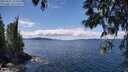 ./images/koeye/fitz-hugh/20250511/fitz-hugh20250511_131008M.jpg