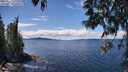 ./images/koeye/fitz-hugh/20250511/fitz-hugh20250511_131508M.jpg