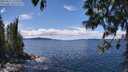 ./images/koeye/fitz-hugh/20250511/fitz-hugh20250511_132510M.jpg