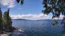 ./images/koeye/fitz-hugh/20250511/fitz-hugh20250511_133011M.jpg