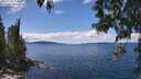 ./images/koeye/fitz-hugh/20250511/fitz-hugh20250511_133509M.jpg