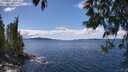 ./images/koeye/fitz-hugh/20250511/fitz-hugh20250511_134011M.jpg
