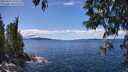 ./images/koeye/fitz-hugh/20250511/fitz-hugh20250511_134510M.jpg