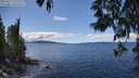 ./images/koeye/fitz-hugh/20250511/fitz-hugh20250511_135510M.jpg