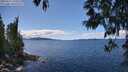 ./images/koeye/fitz-hugh/20250511/fitz-hugh20250511_140011M.jpg