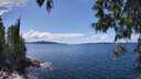 ./images/koeye/fitz-hugh/20250511/fitz-hugh20250511_141510M.jpg