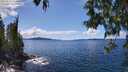 ./images/koeye/fitz-hugh/20250511/fitz-hugh20250511_142010M.jpg