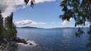 ./images/koeye/fitz-hugh/20250511/fitz-hugh20250511_142510M.jpg