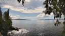 ./images/koeye/fitz-hugh/20250511/fitz-hugh20250511_150510M.jpg