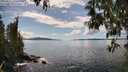 ./images/koeye/fitz-hugh/20250511/fitz-hugh20250511_151010M.jpg