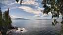 ./images/koeye/fitz-hugh/20250511/fitz-hugh20250511_151510M.jpg