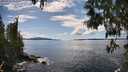 ./images/koeye/fitz-hugh/20250511/fitz-hugh20250511_152011M.jpg
