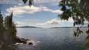 ./images/koeye/fitz-hugh/20250511/fitz-hugh20250511_153510M.jpg