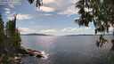 ./images/koeye/fitz-hugh/20250511/fitz-hugh20250511_155010M.jpg
