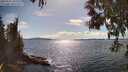 ./images/koeye/fitz-hugh/20250511/fitz-hugh20250511_163508M.jpg