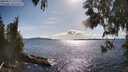 ./images/koeye/fitz-hugh/20250511/fitz-hugh20250511_171511M.jpg
