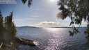 ./images/koeye/fitz-hugh/20250511/fitz-hugh20250511_172011M.jpg
