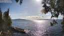 ./images/koeye/fitz-hugh/20250511/fitz-hugh20250511_172509M.jpg