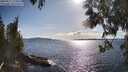 ./images/koeye/fitz-hugh/20250511/fitz-hugh20250511_173010M.jpg