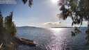 ./images/koeye/fitz-hugh/20250511/fitz-hugh20250511_173510M.jpg