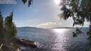 ./images/koeye/fitz-hugh/20250511/fitz-hugh20250511_174509M.jpg