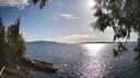 ./images/koeye/fitz-hugh/20250511/fitz-hugh20250511_175507M.jpg
