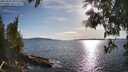 ./images/koeye/fitz-hugh/20250511/fitz-hugh20250511_181511M.jpg