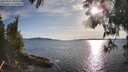 ./images/koeye/fitz-hugh/20250511/fitz-hugh20250511_183508M.jpg