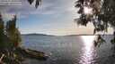 ./images/koeye/fitz-hugh/20250511/fitz-hugh20250511_184508M.jpg