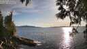 ./images/koeye/fitz-hugh/20250511/fitz-hugh20250511_185010M.jpg