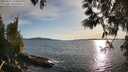./images/koeye/fitz-hugh/20250511/fitz-hugh20250511_190008M.jpg