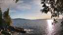 ./images/koeye/fitz-hugh/20250511/fitz-hugh20250511_190508M.jpg