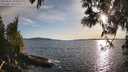 ./images/koeye/fitz-hugh/20250511/fitz-hugh20250511_191008M.jpg