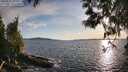 ./images/koeye/fitz-hugh/20250511/fitz-hugh20250511_192508M.jpg