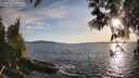 ./images/koeye/fitz-hugh/20250511/fitz-hugh20250511_193009M.jpg