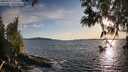 ./images/koeye/fitz-hugh/20250511/fitz-hugh20250511_193509M.jpg