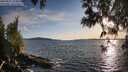 ./images/koeye/fitz-hugh/20250511/fitz-hugh20250511_194009M.jpg