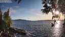 ./images/koeye/fitz-hugh/20250511/fitz-hugh20250511_195008M.jpg