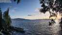 ./images/koeye/fitz-hugh/20250511/fitz-hugh20250511_200509M.jpg