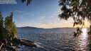 ./images/koeye/fitz-hugh/20250511/fitz-hugh20250511_201509M.jpg