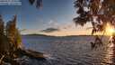 ./images/koeye/fitz-hugh/20250511/fitz-hugh20250511_204008M.jpg
