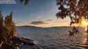 ./images/koeye/fitz-hugh/20250511/fitz-hugh20250511_204508M.jpg