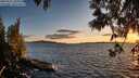 ./images/koeye/fitz-hugh/20250511/fitz-hugh20250511_205009M.jpg