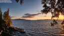 ./images/koeye/fitz-hugh/20250511/fitz-hugh20250511_205508M.jpg