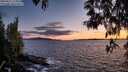 ./images/koeye/fitz-hugh/20250511/fitz-hugh20250511_212009M.jpg