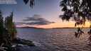 ./images/koeye/fitz-hugh/20250511/fitz-hugh20250511_212508M.jpg