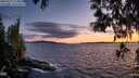 ./images/koeye/fitz-hugh/20250511/fitz-hugh20250511_213009M.jpg