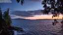 ./images/koeye/fitz-hugh/20250511/fitz-hugh20250511_214509M.jpg