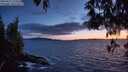 ./images/koeye/fitz-hugh/20250511/fitz-hugh20250511_215009M.jpg